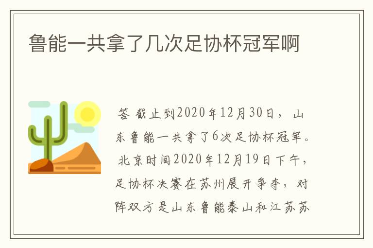 鲁能一共拿了几次足协杯冠军啊