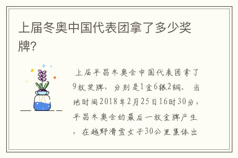 上届冬奥中国代表团拿了多少奖牌?