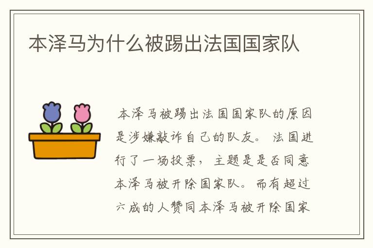 本泽马为什么被踢出法国国家队