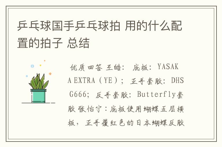 乒乓球国手乒乓球拍 用的什么配置的拍子 总结