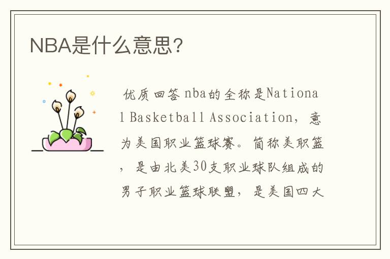 NBA是什么意思?