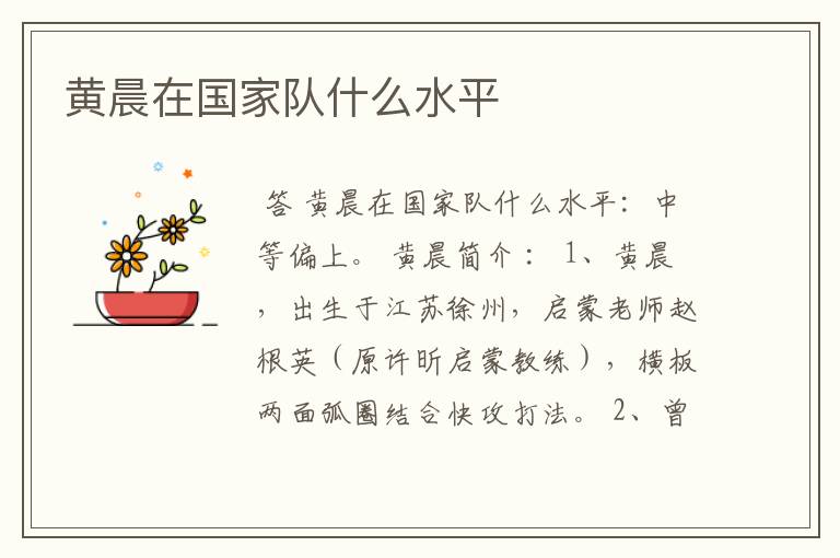 黄晨在国家队什么水平