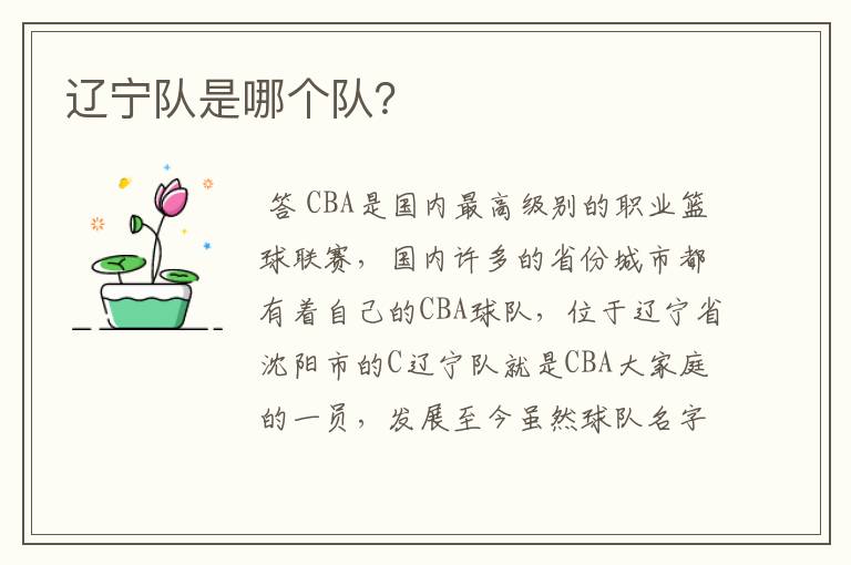 辽宁队是哪个队?