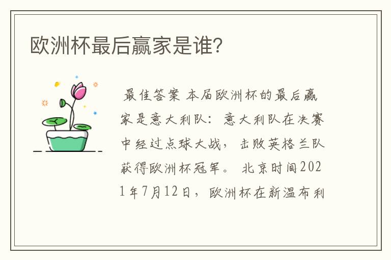 欧洲杯最后赢家是谁?