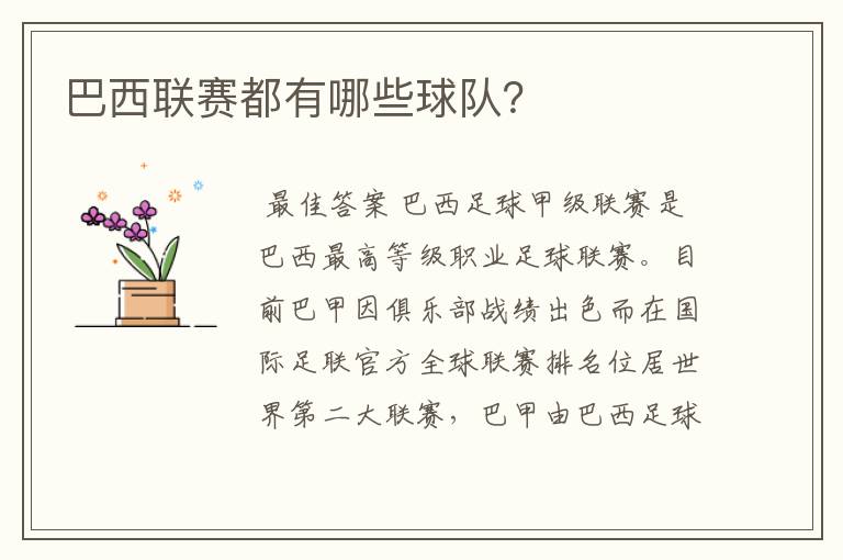 巴西联赛都有哪些球队?