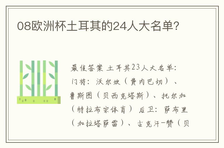 08欧洲杯土耳其的24人大名单?