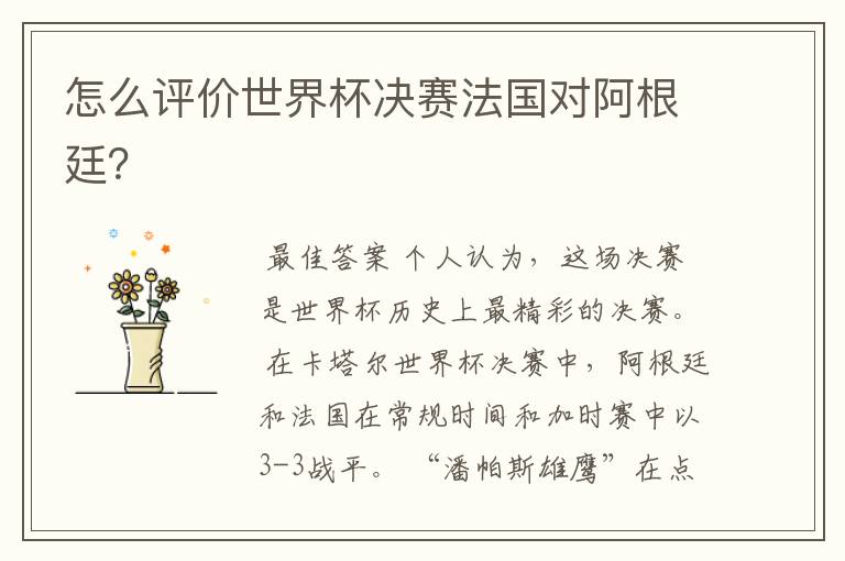 怎么评价世界杯决赛法国对阿根廷?