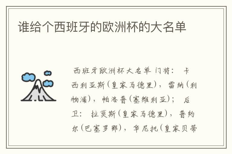 谁给个西班牙的欧洲杯的大名单