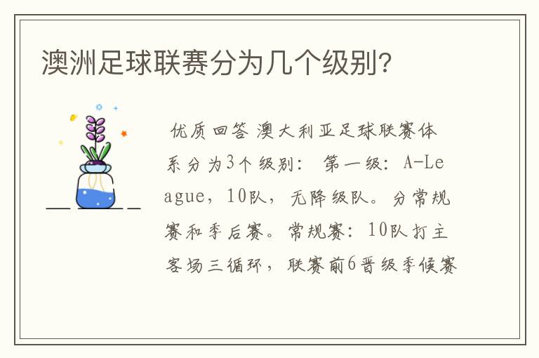 澳洲足球联赛分为几个级别?