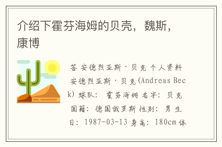 介绍下霍芬海姆的贝壳,魏斯,康博
