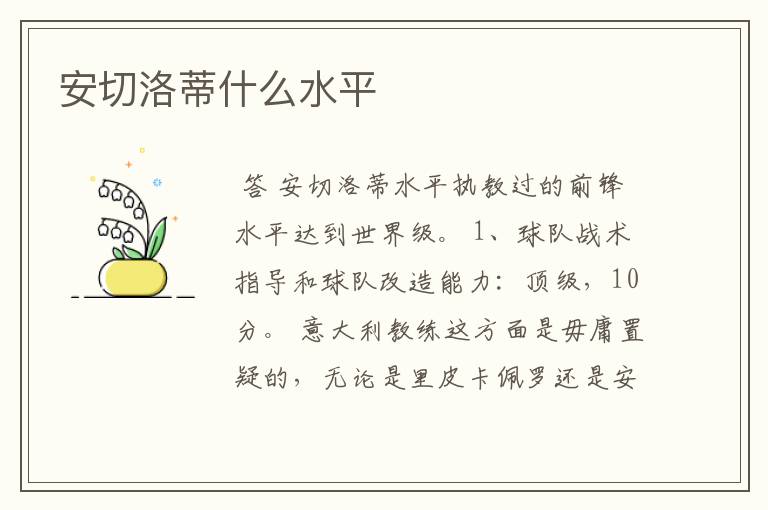 安切洛蒂什么水平