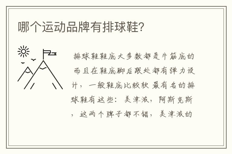哪个运动品牌有排球鞋?