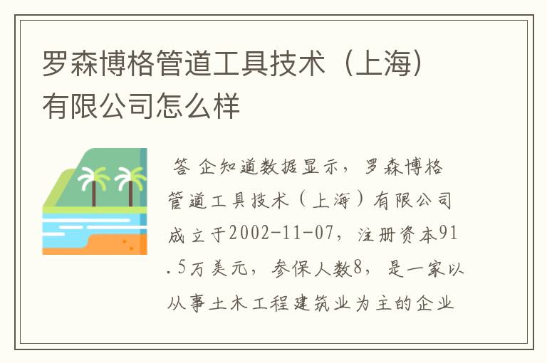 罗森博格管道工具技术(上海)有限公司怎么样