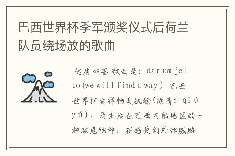 巴西世界杯季军颁奖仪式后荷兰队员绕场放的歌曲