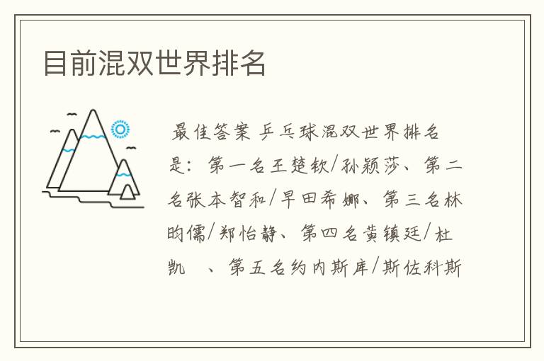 目前混双世界排名