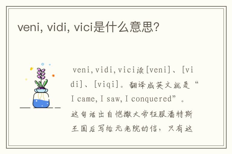veni, vidi, vici是什么意思?