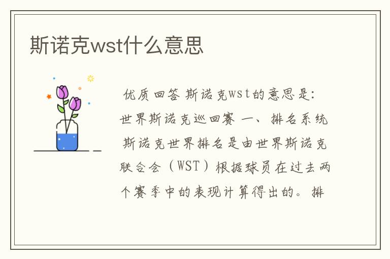 斯诺克wst什么意思