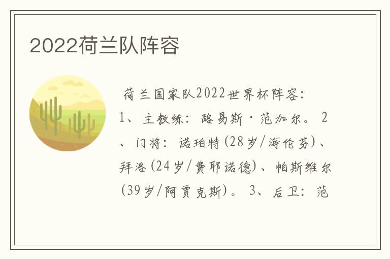2022荷兰队阵容