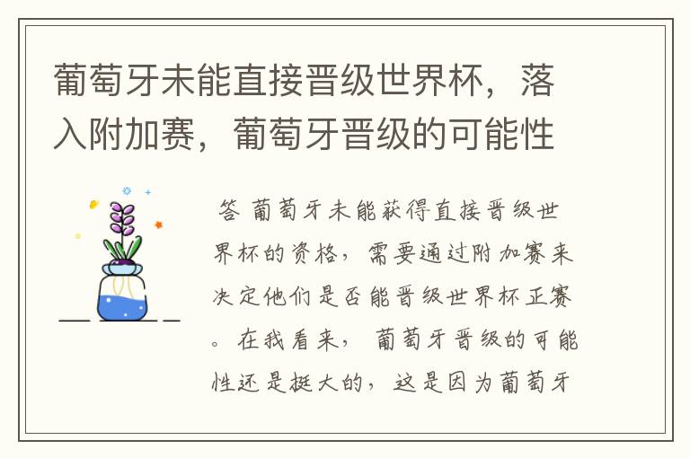 葡萄牙未能直接晋级世界杯,落入附加赛,葡萄牙晋级的可能性有多大?