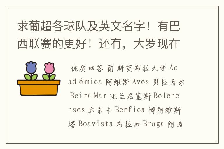 求葡超各球队及英文名字!有巴西联赛的更好!还有,大罗现在在巴西的哪个队伍?