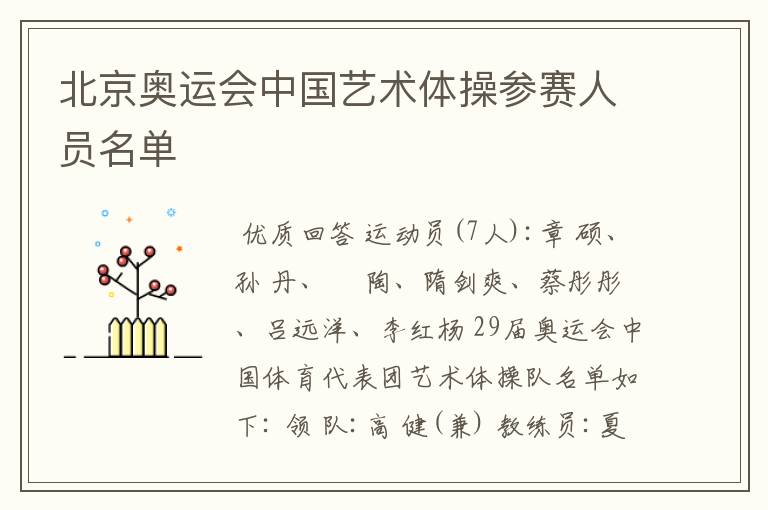 北京奥运会中国艺术体操参赛人员名单