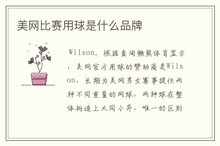 美网比赛用球是什么品牌