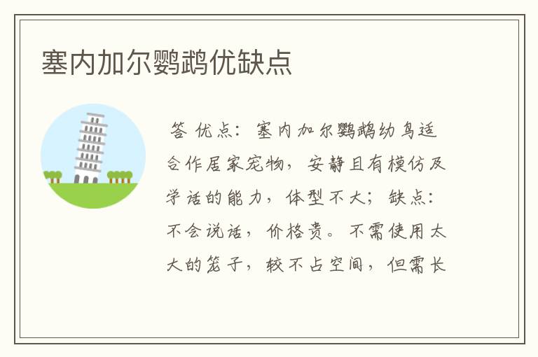 塞内加尔鹦鹉优缺点