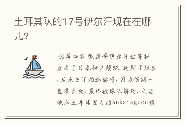 土耳其队的17号伊尔汗现在在哪儿?
