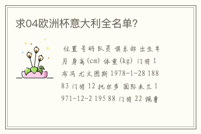 求04欧洲杯意大利全名单？