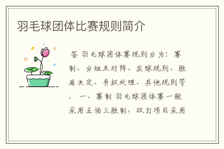 羽毛球团体比赛规则简介