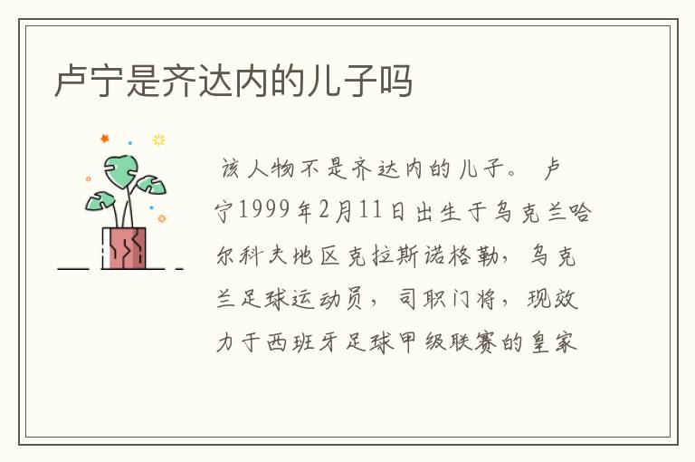 卢宁是齐达内的儿子吗