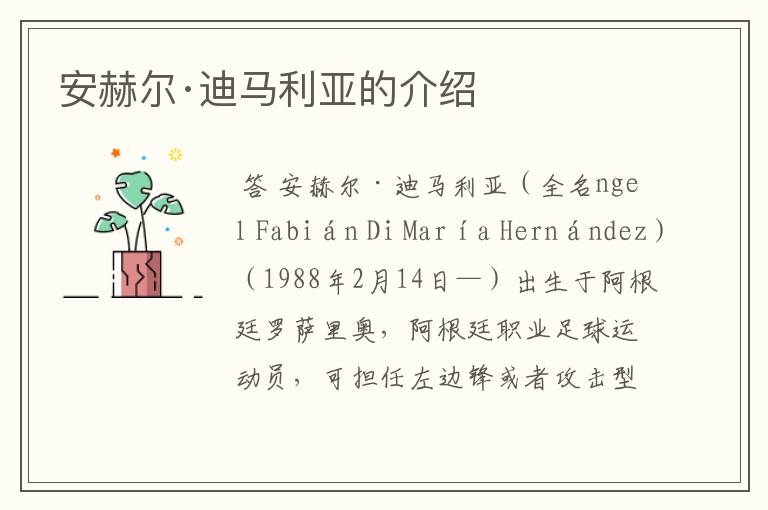 安赫尔·迪马利亚的介绍