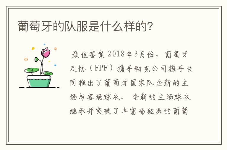 葡萄牙的队服是什么样的?