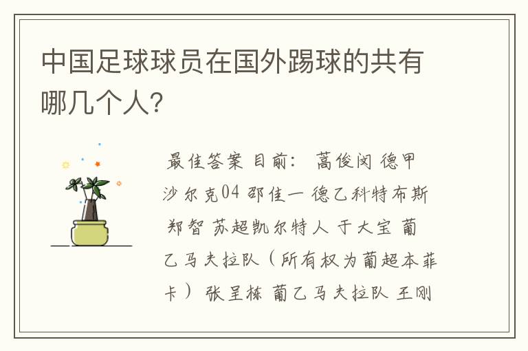中国足球球员在国外踢球的共有哪几个人?