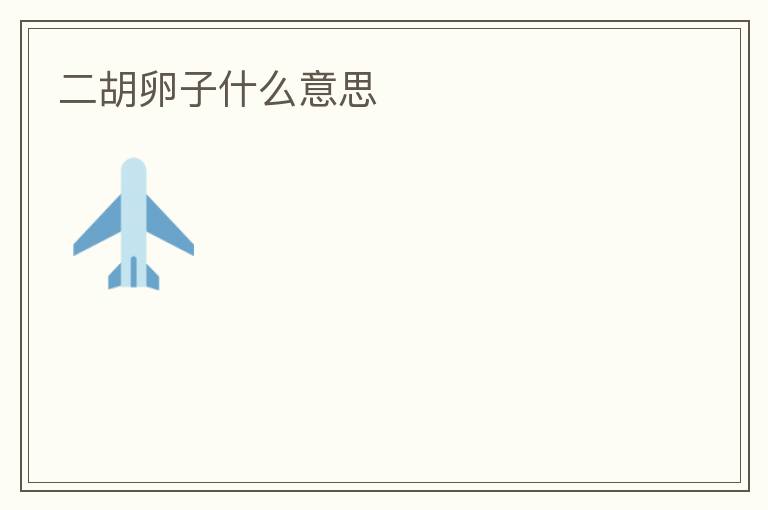 二胡卵子什么意思