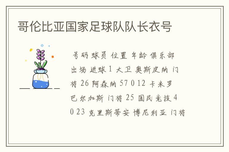哥伦比亚国家足球队队长衣号