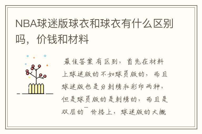 NBA球迷版球衣和球衣有什么区别吗,价钱和材料