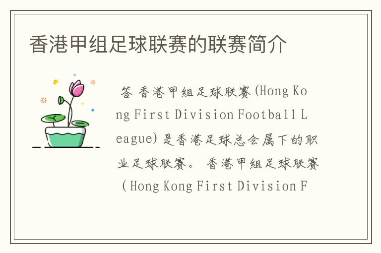 香港甲组足球联赛的联赛简介