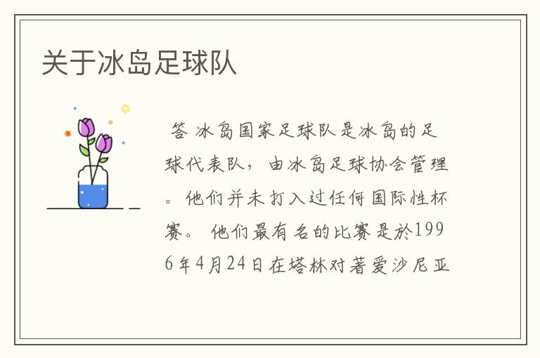 关于冰岛足球队