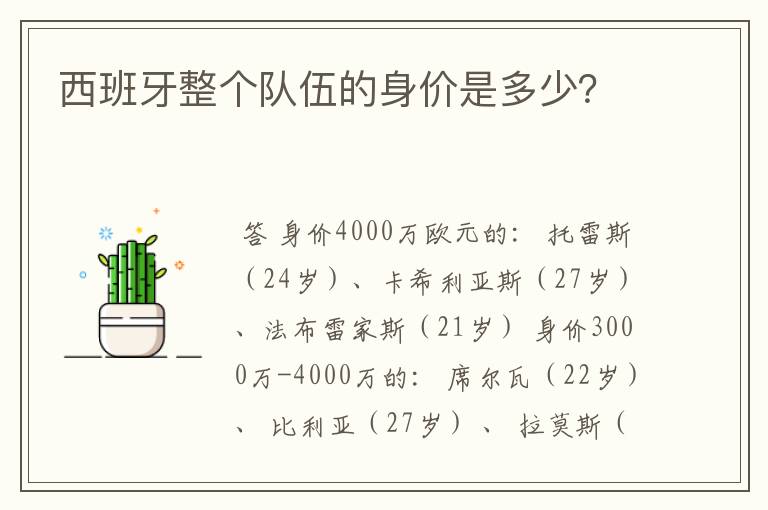西班牙整个队伍的身价是多少?