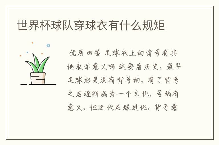 世界杯球队穿球衣有什么规矩