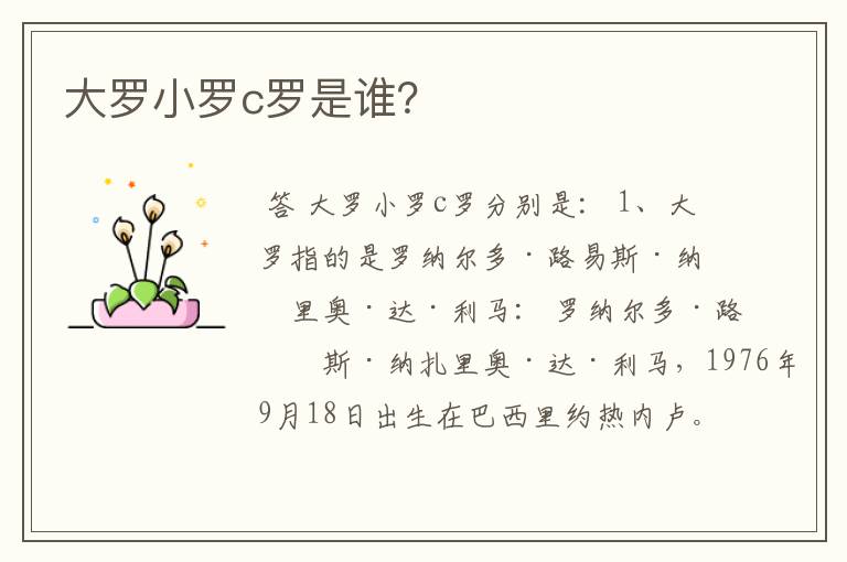 大罗小罗c罗是谁?
