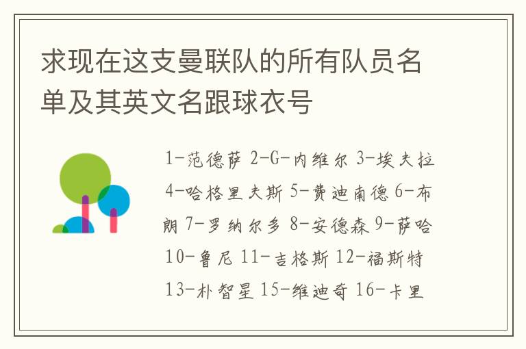 求现在这支曼联队的所有队员名单及其英文名跟球衣号