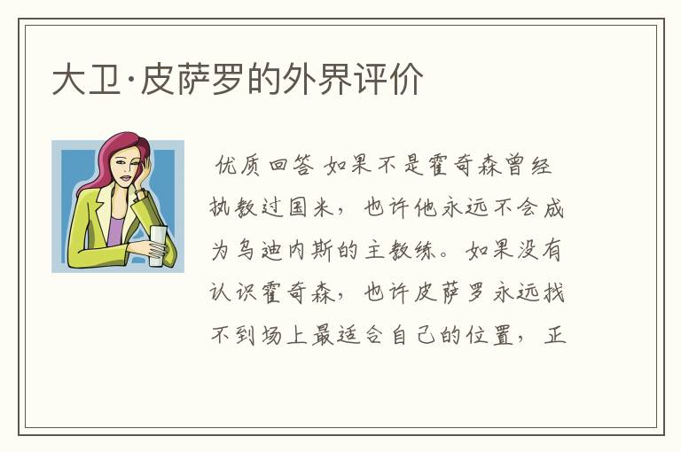 大卫·皮萨罗的外界评价
