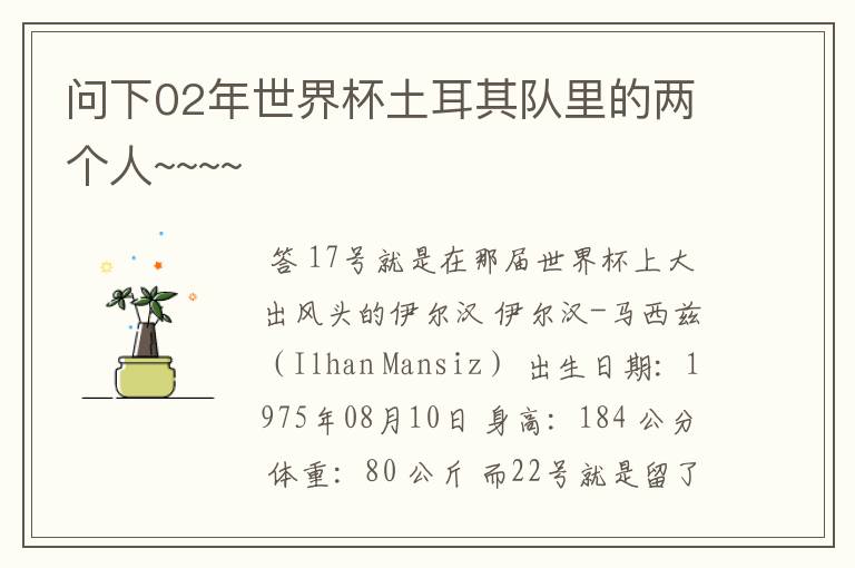 问下02年世界杯土耳其队里的两个人~~~~