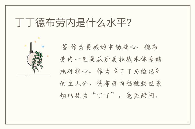 丁丁德布劳内是什么水平?