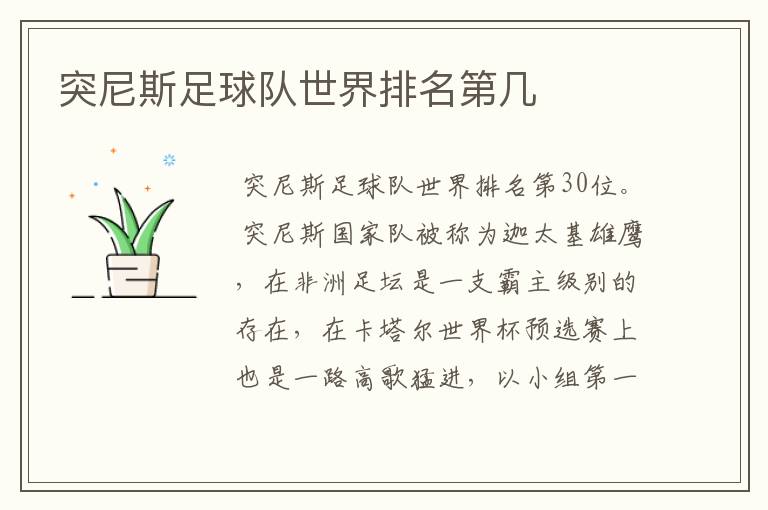 突尼斯足球队世界排名第几