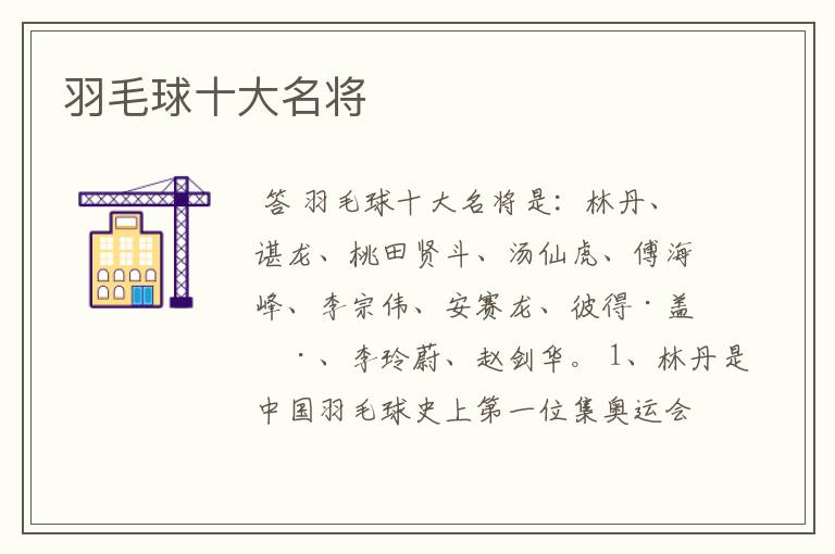 羽毛球十大名将