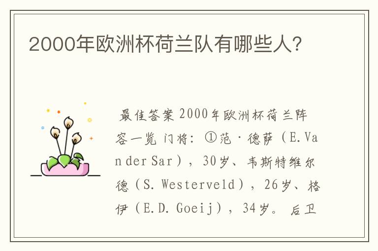 2000年欧洲杯荷兰队有哪些人?