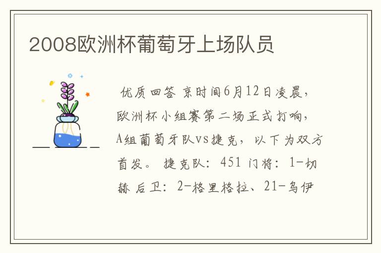 2008欧洲杯葡萄牙上场队员